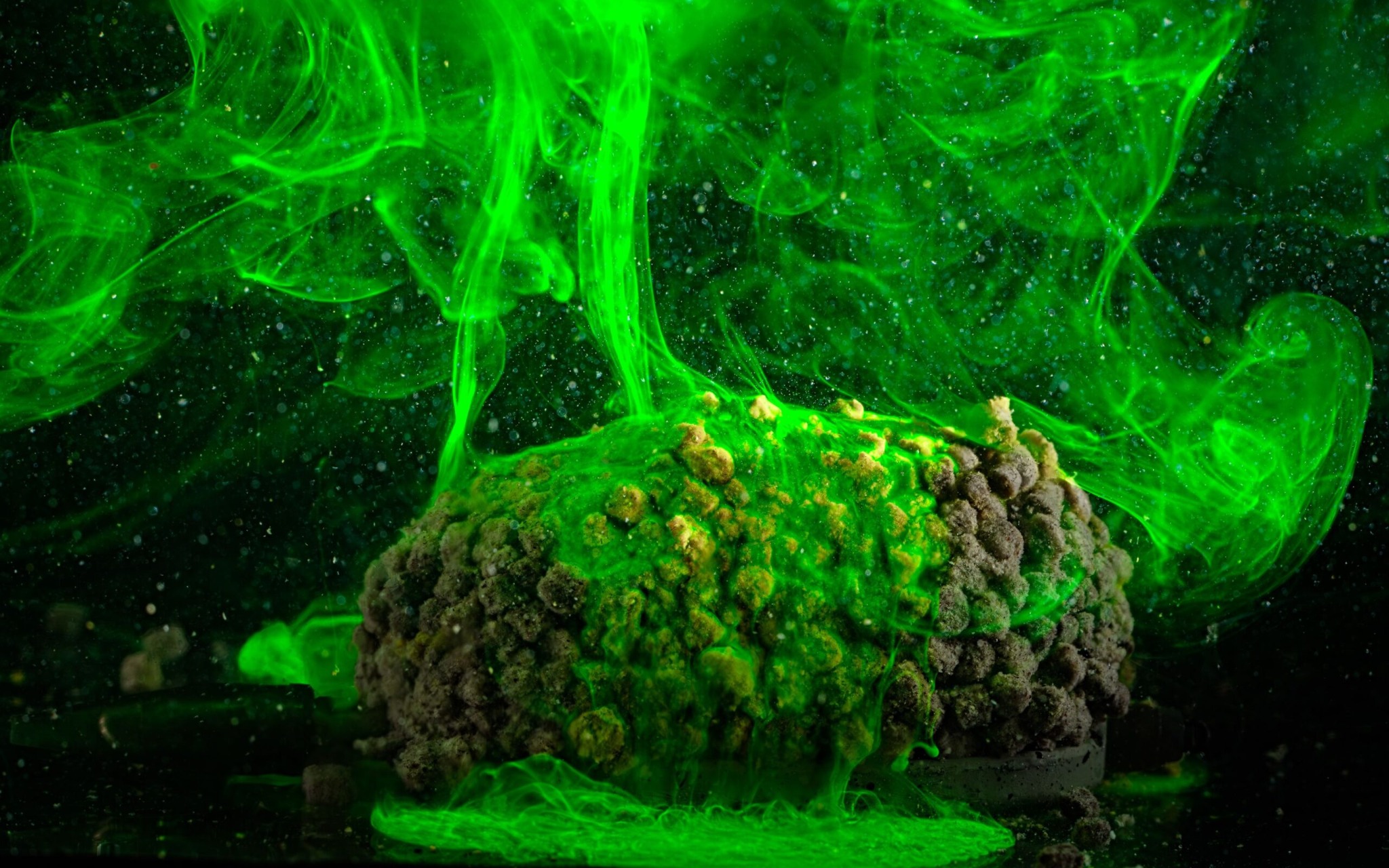 NovakFeeder – spray